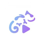 Stellio Player HQ v5.10.5 Premium APK