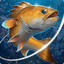 Fishing Hook v2.3.0 Mod (Unlimited Money) Apk Icon