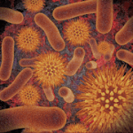 Infectious Disease Compendium v38.12.01 APK