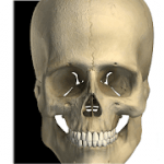 Visual Bones v2.3 APK