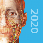 Human Anatomy Atlas 2020Â Complete 3D Human Body v2020.0.73 APK Free Iaps