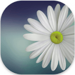 Gallery Lite  No Ads v1.2.2 APK