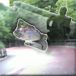 Picasso Panorama Pro v1.0.1 APK paid