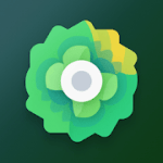Moxy Icons v7.1 APK Patched