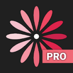 WomanLog Pro Calendar v5.8.24 APK Patched