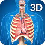 Respiratory System Anatomy v1.8 APK Unlocked