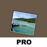 Photo Widget + vsuccess-1 APK Paid