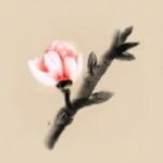 Mirages of Winter v1.0.4 Mod (Full) Apk + Data