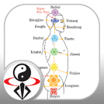 Acupressure Massage Qigong (YMAA) v1.0.2 APK Unlocked