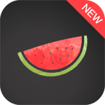 Melon VPN  Unblock Free Proxy VPN v5.5.005 APK VIP