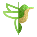 Picturize it  Turn your photos into art v1.0.1 Premium APK