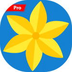 Gallery Ad Free v1.0 Paid APK SAP