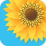 Gallery v4.8 PRO APK Mod