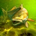 My Fishing World Realistic fishing v1.14.97 Mod (Unlimited Money + VIP) Apk