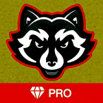 VPN Pro v1.1 APK Paid