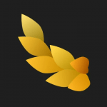 NYMF Sensual Art Photos by David Dubnitskiy v1.3.1 Premium APK