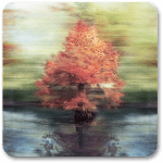 Bluristic v1.696 APK