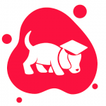 Scholly College Scholarships v2.29.6 APK Subscribed