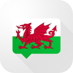 Welsh Verb Blitz Pro v1.5.7 APK Paid