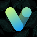 Vera Icon Pack shapeless icon v4.6.7 APK Patched