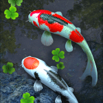 Water Garden Live Wallpaper v1.78 Mod Extra APK Unlocked