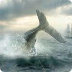 Moby Dick Wild Hunting v1.3.3 MOD (Mod Money/No Ads) APK